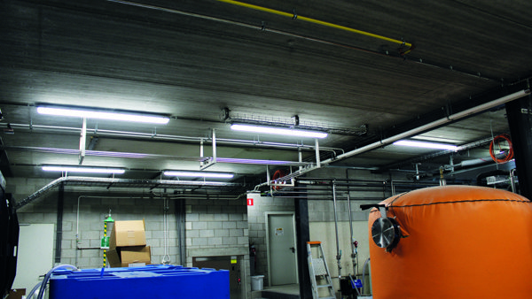 Abdij Rochefort HWDP 6